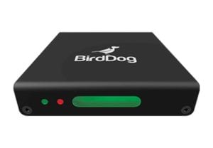 dveas_birddog-MINI
