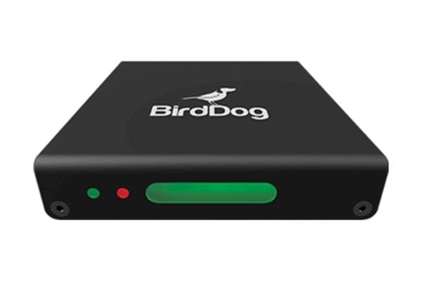 dveas_birddog-MINI
