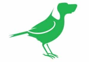 dveas_birddog-logo