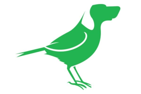 dveas_birddog-logo